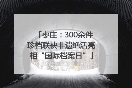 枣庄：300余件珍档联袂非遗绝活亮相“国际档案日”